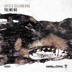 Kayzo & Sullivan King - Till We Die