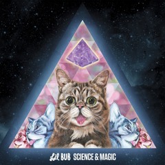 Lil BUB - New Gravity