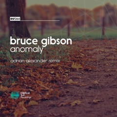 Bruce Gibson - Anomaly ( Adrian Alexander Remix )