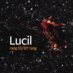 Lucil - Rang 10 10e Rang - J'pars Avec Toi