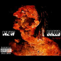 Stu Hefner - New Breed