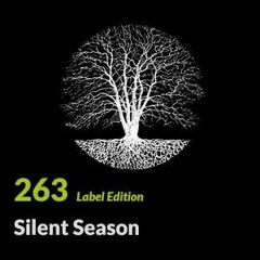 Electronique.it EP 263 - Silent Season Podcast