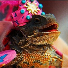 DJ Ramen & Astrah - Regenbogenpfeffer