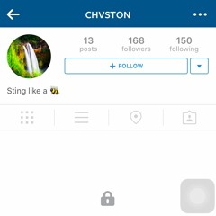 EZ WIN ( CHASTON DISSKIES )