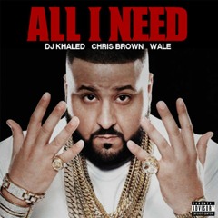 DJ Khaled - All I Need (feat. Chris Brown & Wale)