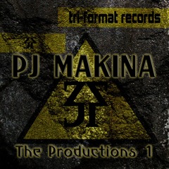PJ Makina - Insanity (Remix)