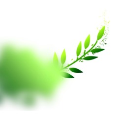 Green - Cloud           Nuage - Vert