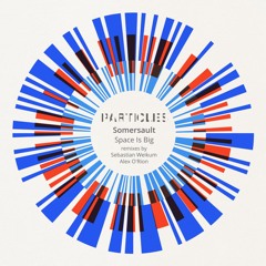 Somersault - Space Is Big (Sebastian Weikum Pres. The Vehicle Remix) [Particles/Proton] Preview
