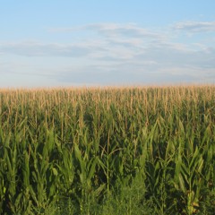 a16z Podcast: Data Down on the Farm