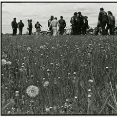 Something Something ('77)