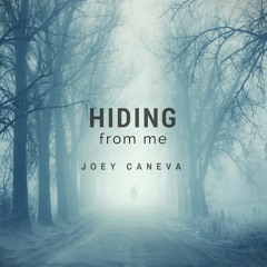 Hiding From Me by Joey Caneva