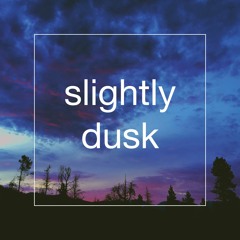 Levitin X Nauuda - Slightly Dusk