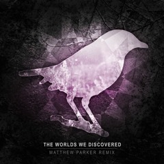Twilight Meadow - The Worlds We Discovered (Matthew Parker Remix)
