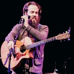 Iron & Wine - The Trapeze Swinger (Original Song)