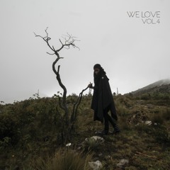 V.A - We Love Vol.4 [WLV014] // PREVIEW