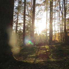 Hand Drum Experiment