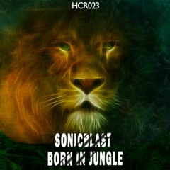 Sonicblast - Born in Jungle(Original Mix)