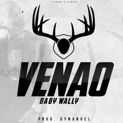 Baby Wally - Venao