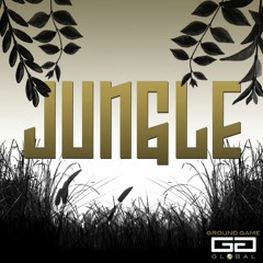 Jungle - Can We Talk (Produced By BlaqNmilD)