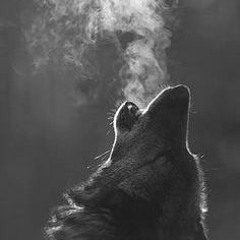 Different Kind (prod. Large Professor)