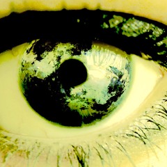 Day 307 Full Pig "Traveller Tribe"