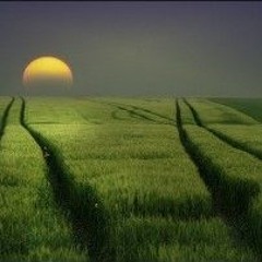 AA GYM - BERAKHLAQ SEPERTI RASULULLAH SAW