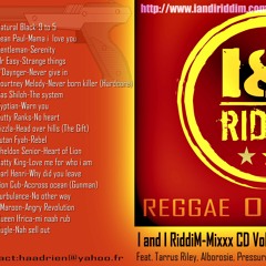 INI RIDDIM MIX CD VOL 3 - 2007