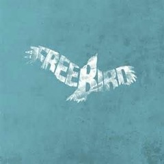#freebird