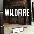 Seafret Wildfire Artwork