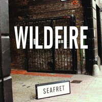 Seafret - Wildfire