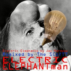 Electric Elephantman - REMIX The SCofTT - Electric Elephants Jay Hardway