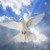 Artwork for Slice of Heaven (Dave Dobbyn Cover)
