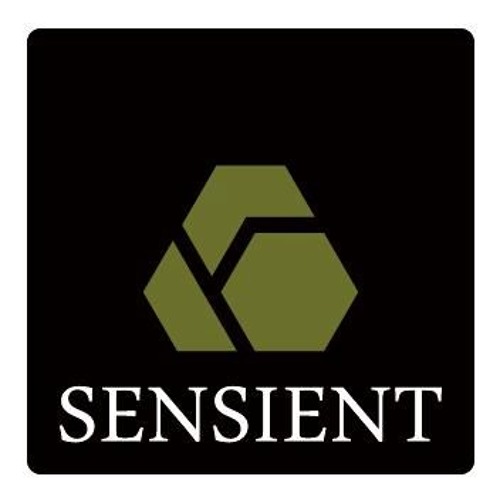 Sensient - Quirk Werk (preview)