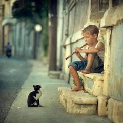 Daniel Naqvi Yallah Habiby