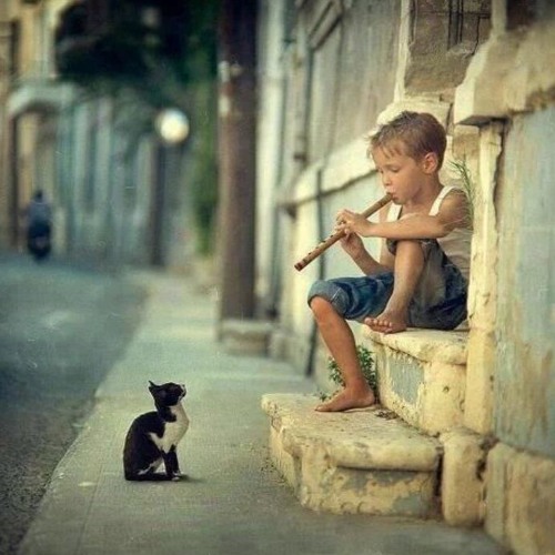 Daniel Naqvi Yallah Habiby