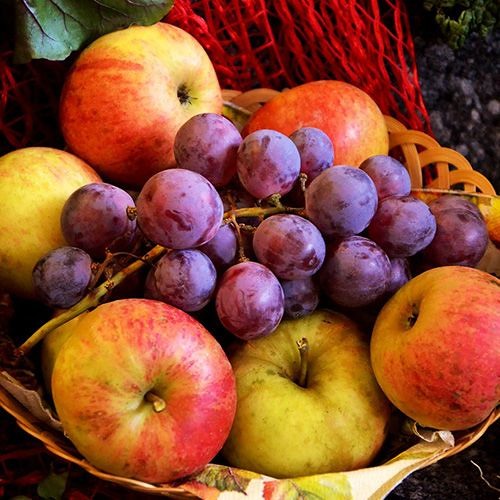 Harvest(Royalty Free Music)