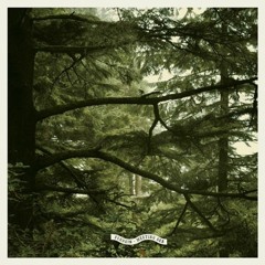 Ferrein - Meeting Sea (Robag Wruhme - Wolser Schelek NB)