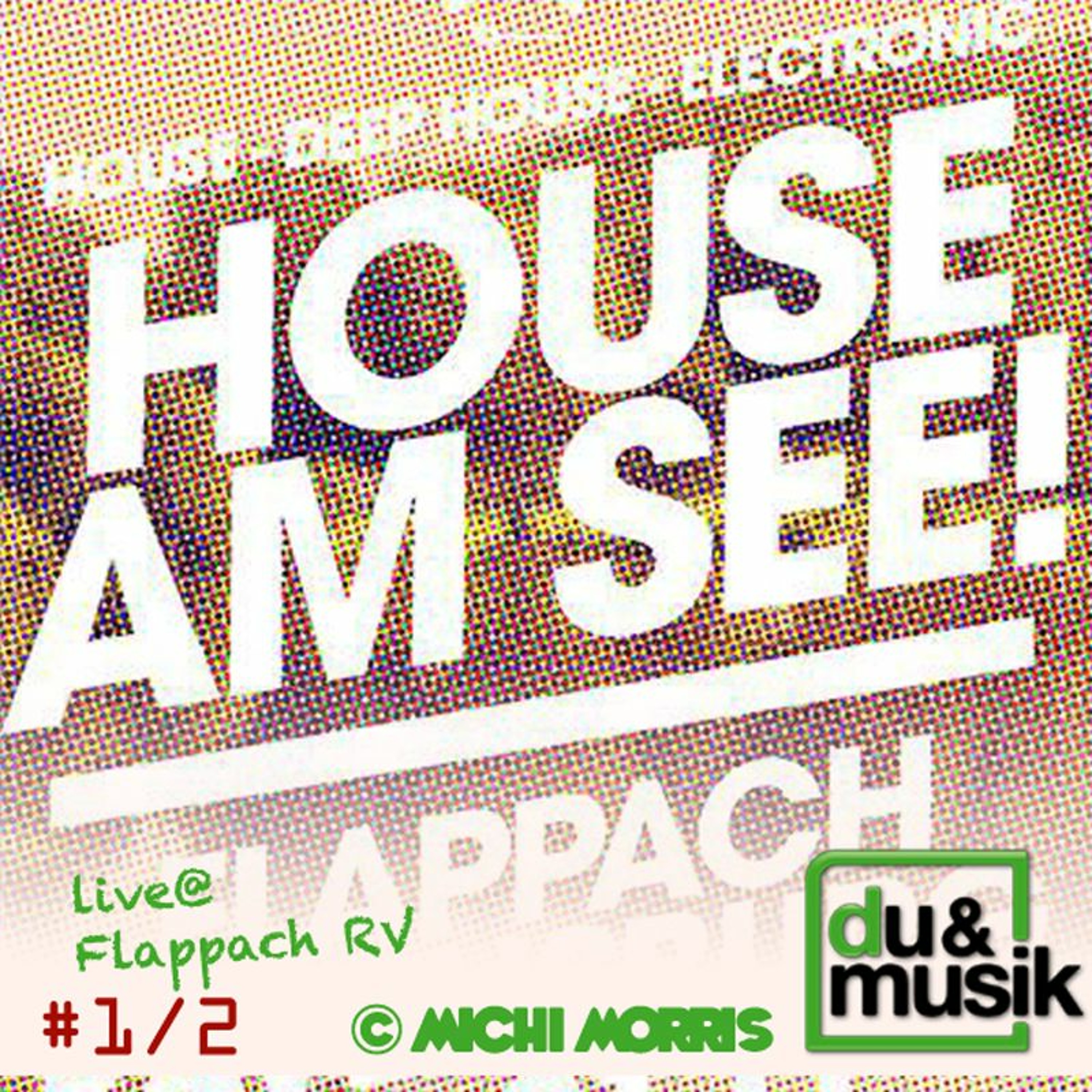du-und-musik-house-am-see-by-michi-morris episode artwork