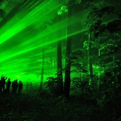 Tales From The Forest
