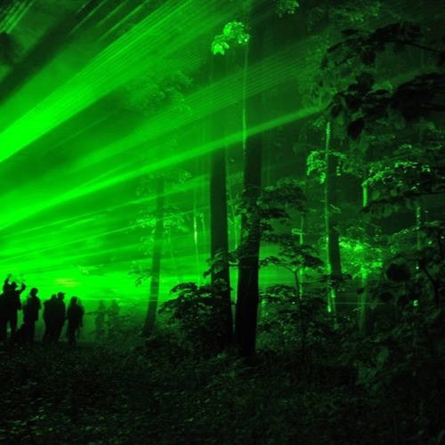 Tales From The Forest