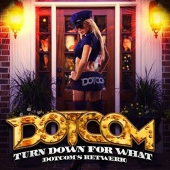Turn Down For What The Fuck By Dotcom (Fractal Breakz ReTwrk)  [Free DL In Description]
