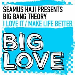 Seamus Haji Presents Big Bang Theory - I Love It