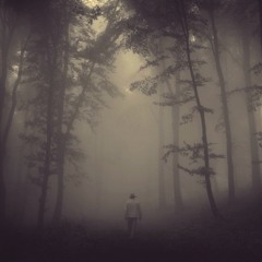 Esche Yggdrasil - Autumn Eve