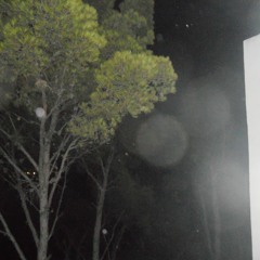 Pourquoi Tu Pleures -