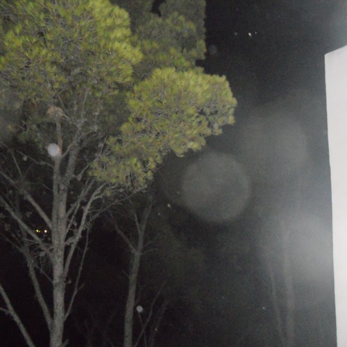 Pourquoi Tu Pleures -