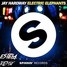 Electric Elephants (DJ ESTELA remix)