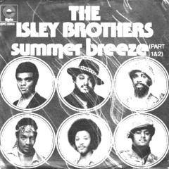 THE ISLEY BROTHERS - SUMMER BREEZE (BUCKETS! BOOTLEG)