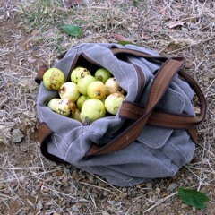 Matando plagas - Alberto Montiel y su conjunto