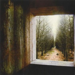SALAD -  For Emma (Bon Iver Cover)