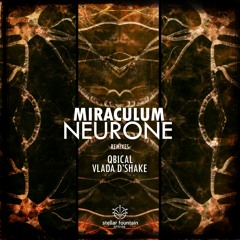 MiraculuM - Neurone (Vlada D'Shake Stellar Mix)
